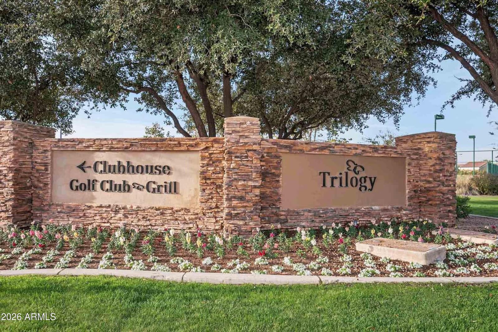 4906 S Verbena Avenue, Gilbert, AZ 85298 — photo 38 of 56