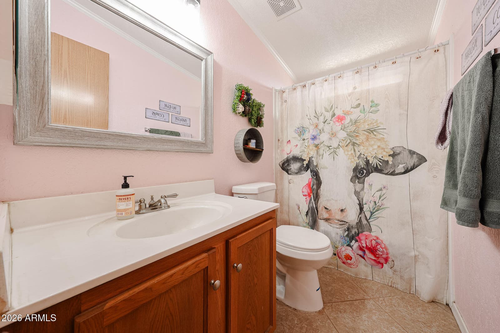 21716 W Narramore Road, Buckeye, AZ 85326 — photo 41 of 47