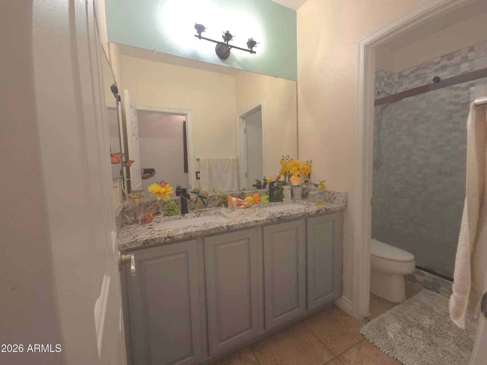 2413 S 121st Drive, Avondale, AZ 85323 — photo 22 of 41