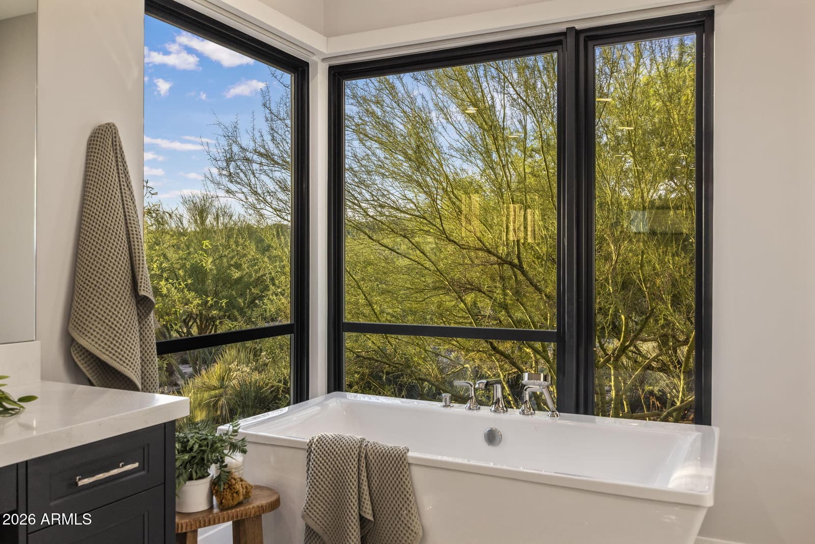 9368 E Covey Trail, Scottsdale, AZ 85262 — photo 27 of 77