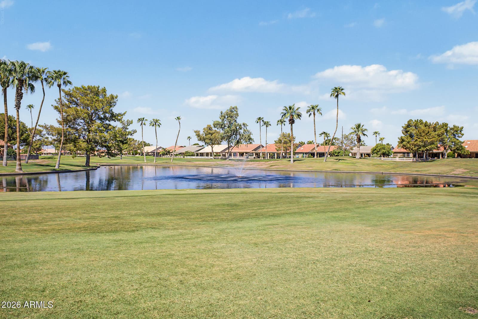 25236 S Flame Tree Drive, Sun Lakes, AZ 85248 — photo 76 of 76