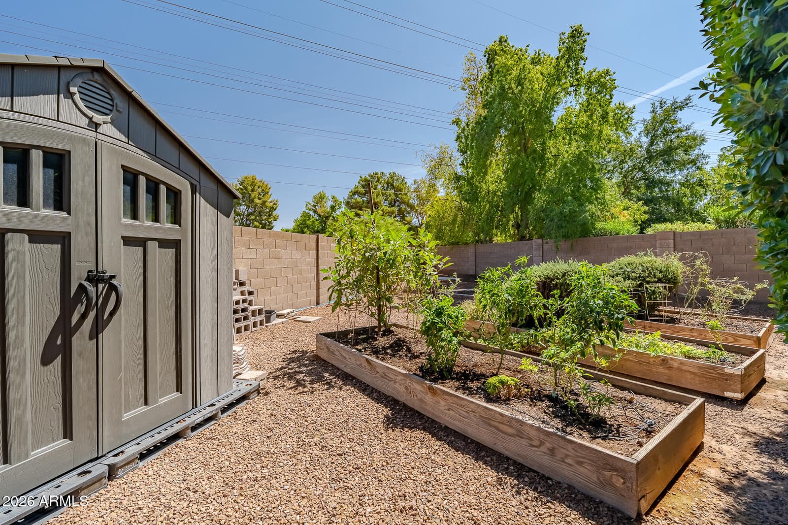1921 E Heather Avenue, Gilbert, AZ 85234 — photo 38 of 48