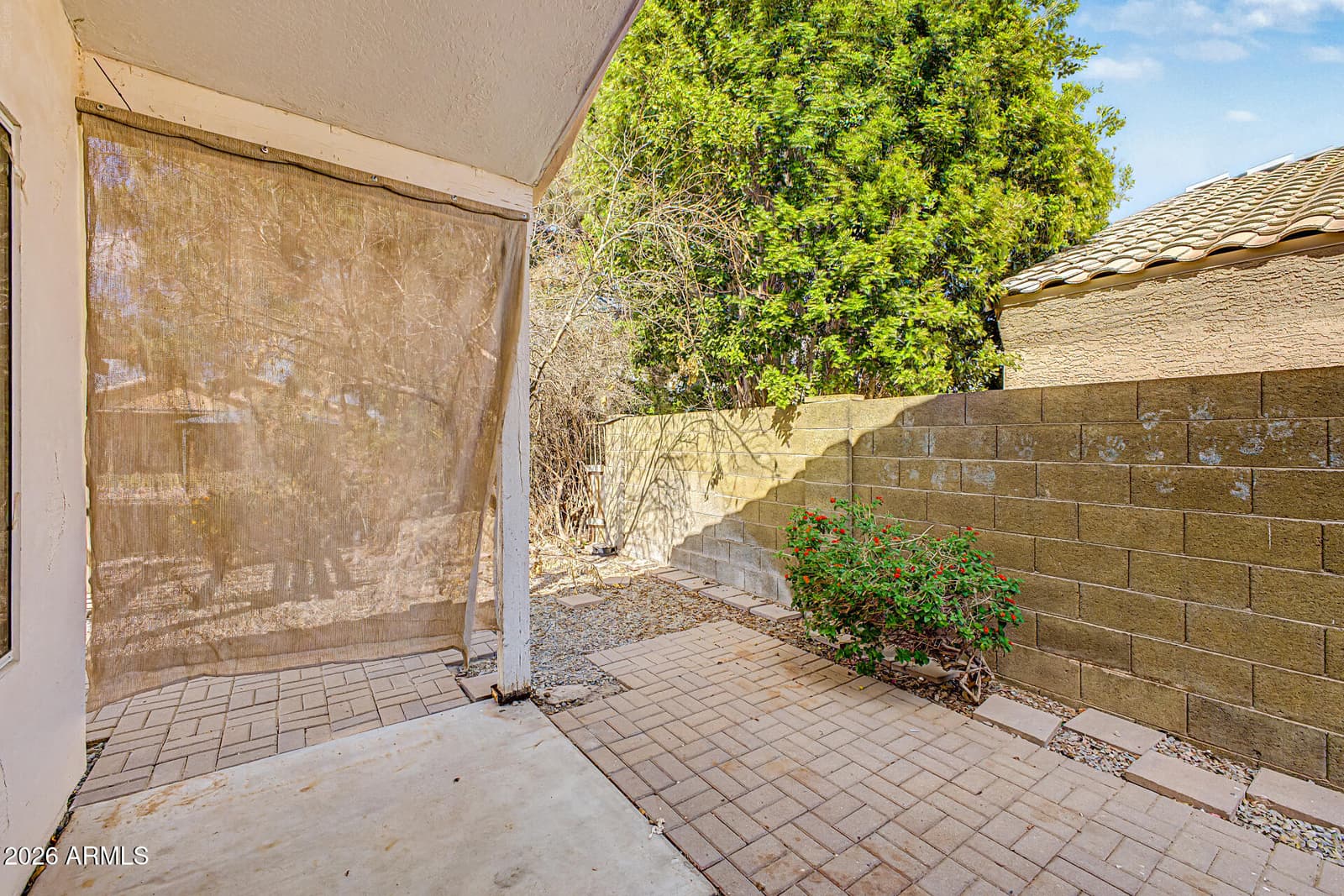 1430 E Cindy Street, Chandler, AZ 85225 — photo 28 of 34
