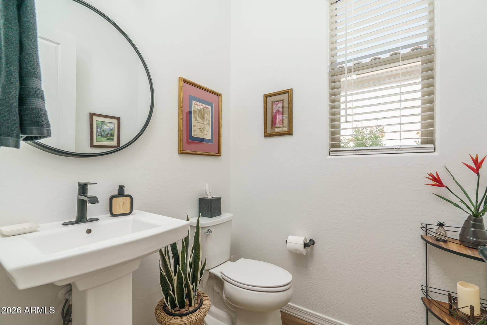 20599 W Rancho Drive, Buckeye, AZ 85396 — photo 33 of 65