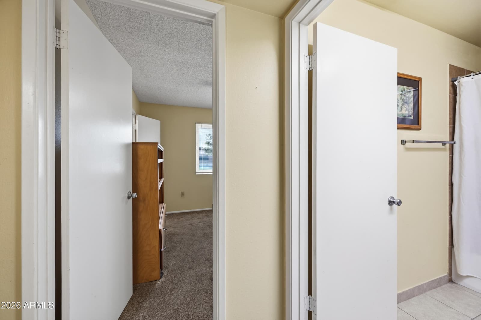 10306 W Audrey Drive, Sun City, AZ 85351 — photo 19 of 26