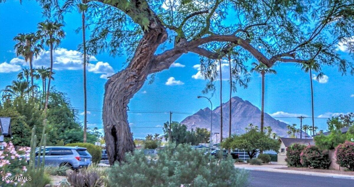 8637 E Camelback Road, Scottsdale, AZ 85251 — photo 5 of 44