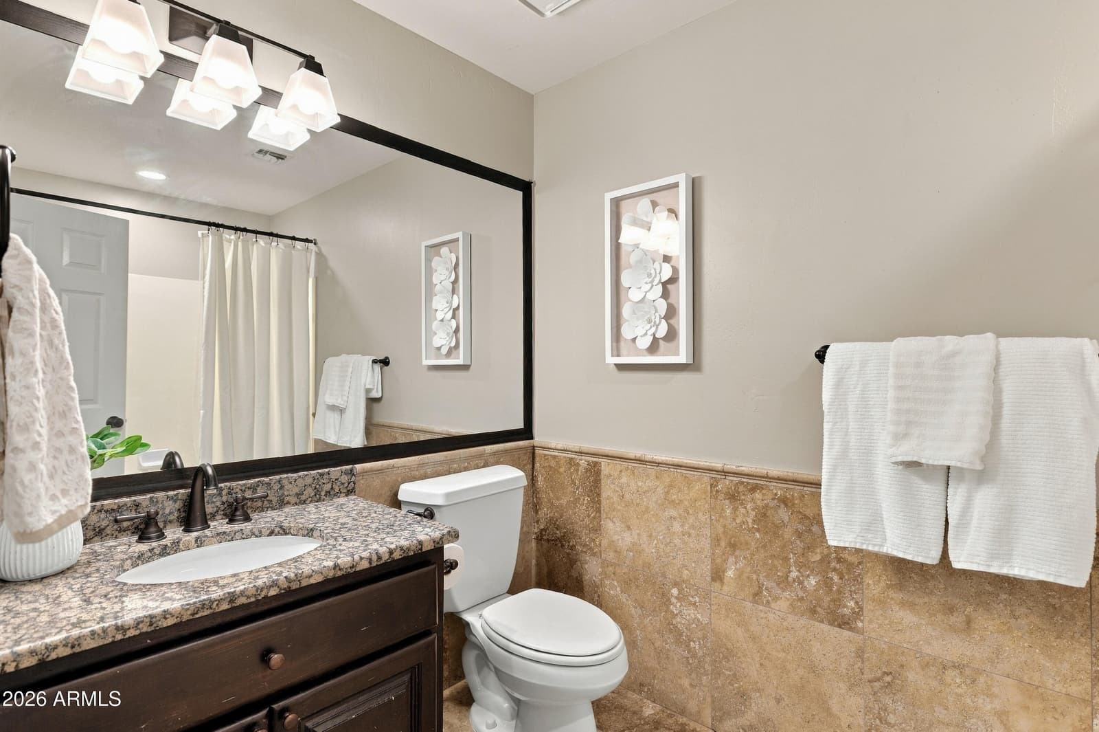 1707 E Menlo Street, Mesa, AZ 85203 — photo 48 of 90