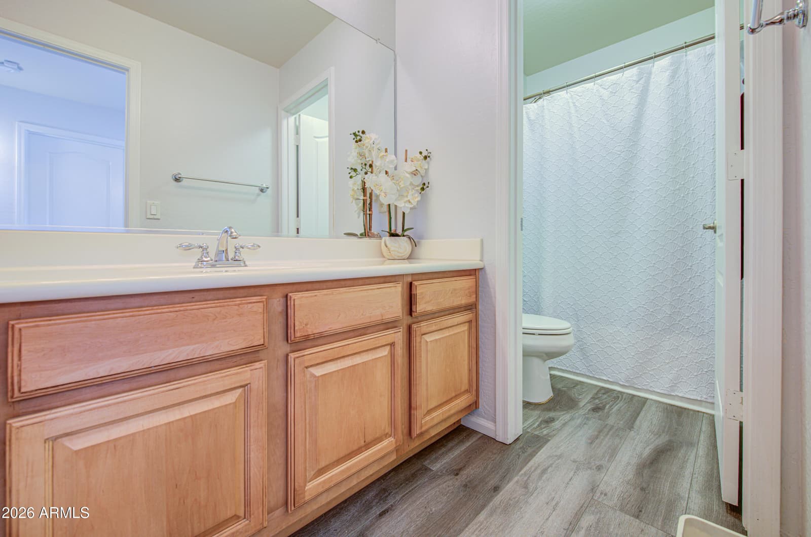 29011 N Calcite Way, San Tan Valley, AZ 85143 — photo 46 of 59