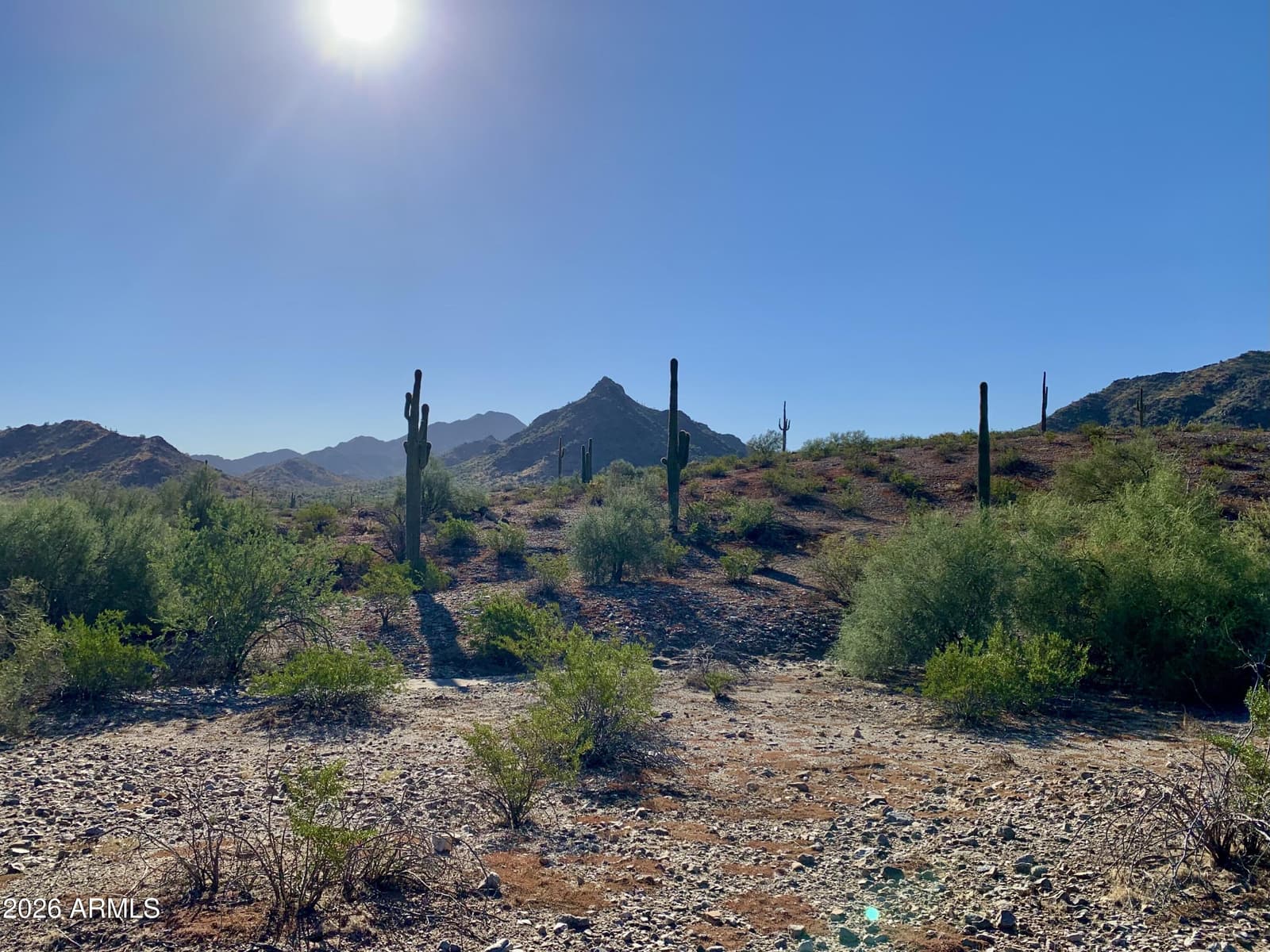 18334 W Piedmont Road, Goodyear, AZ 85338 — photo 52 of 54