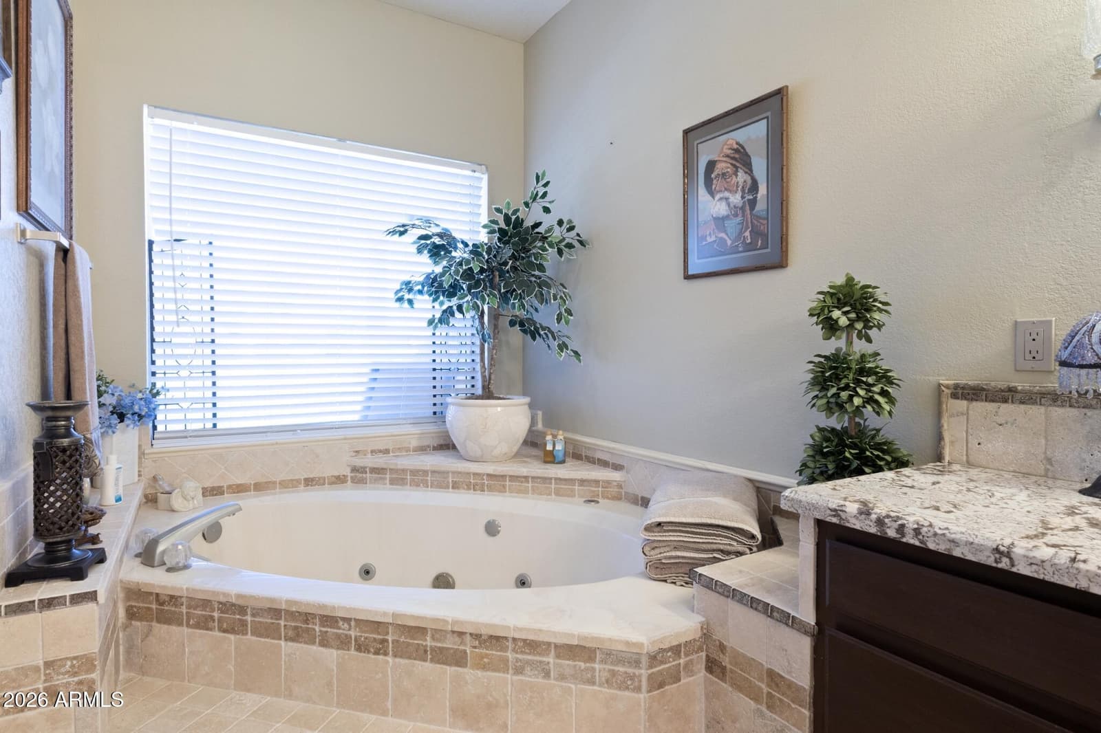 5866 W Del Lago Circle, Glendale, AZ 85308 — photo 40 of 98