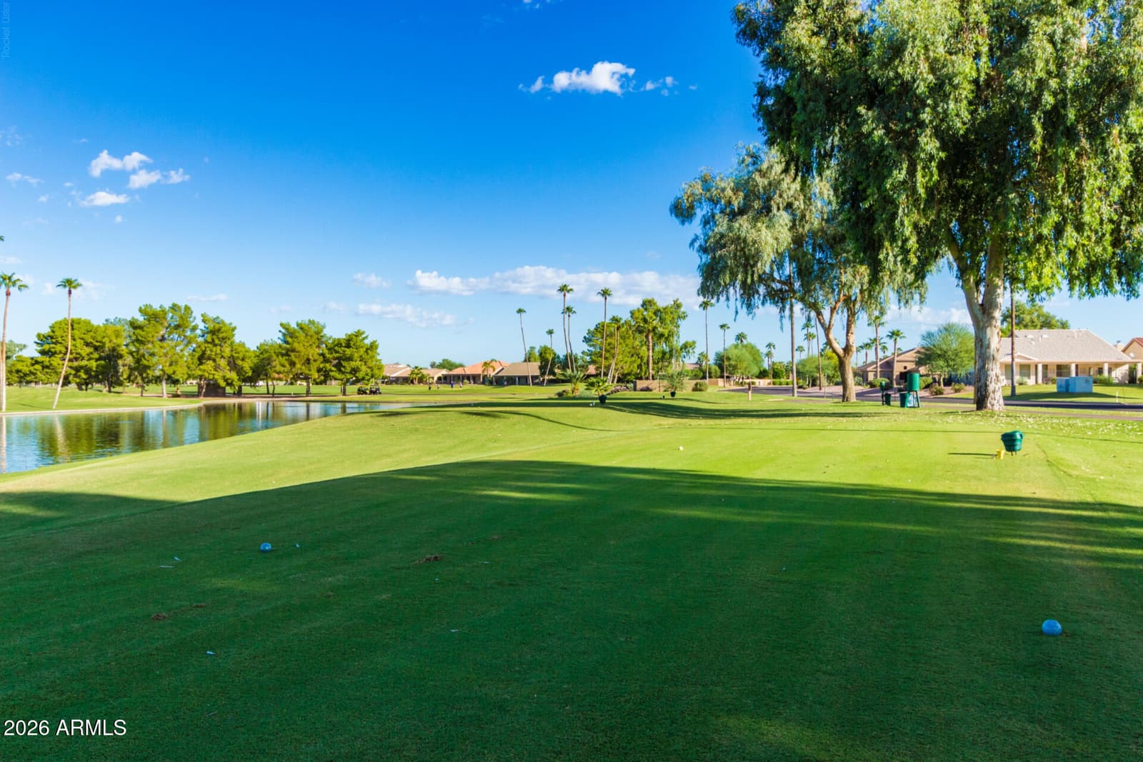 24737 S Golfview Drive 46, Sun Lakes, AZ 85248 — photo 44 of 52