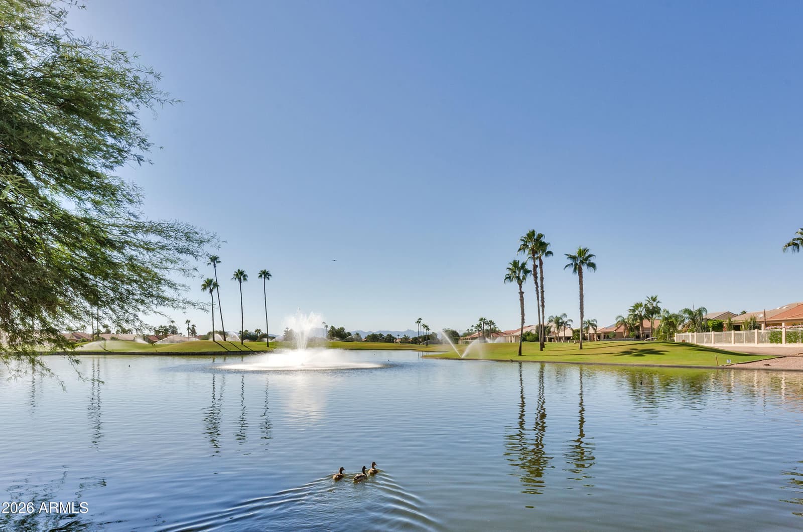24737 S Golfview Drive 46, Sun Lakes, AZ 85248 — photo 50 of 52