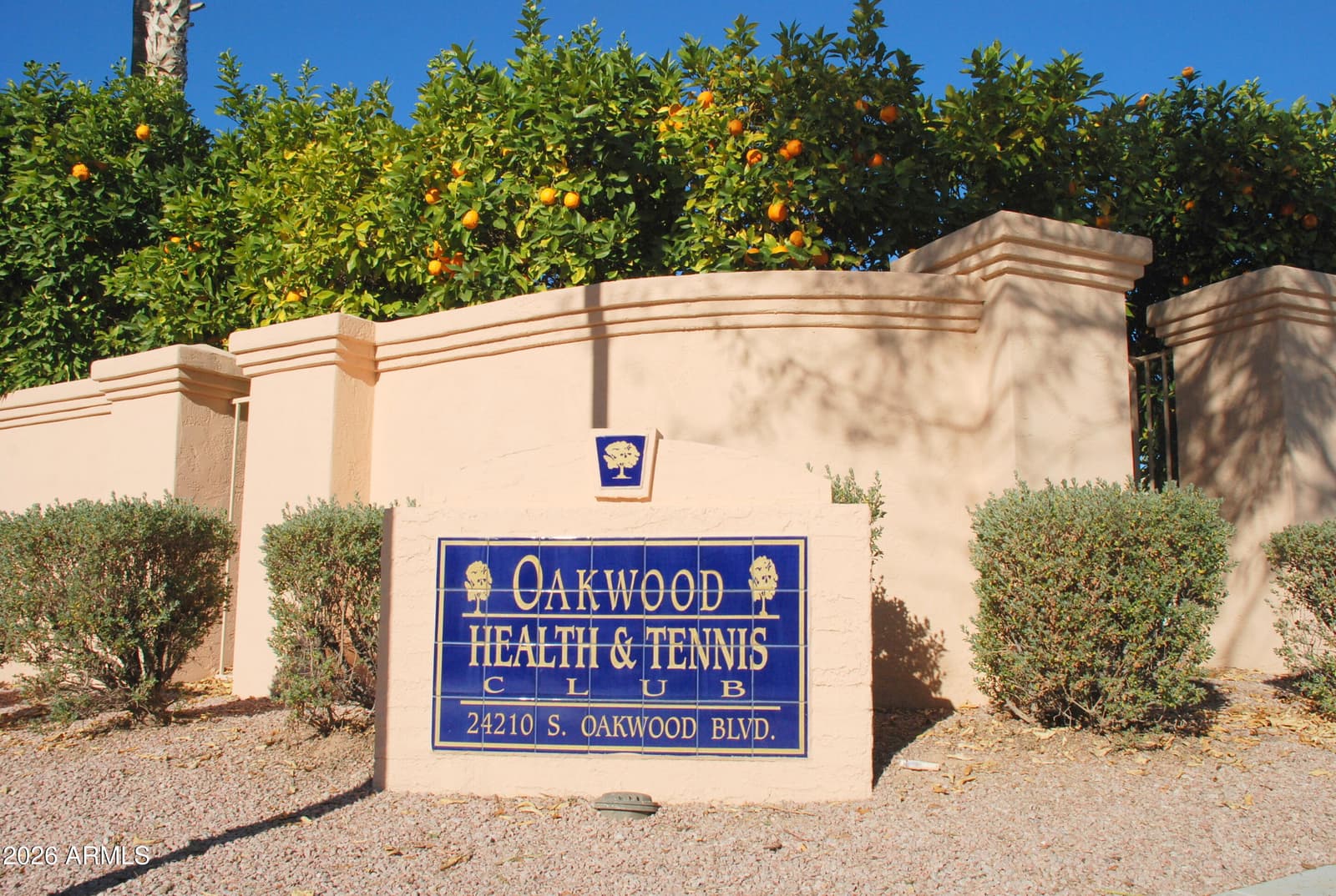 24737 S Golfview Drive 46, Sun Lakes, AZ 85248 — photo 31 of 52