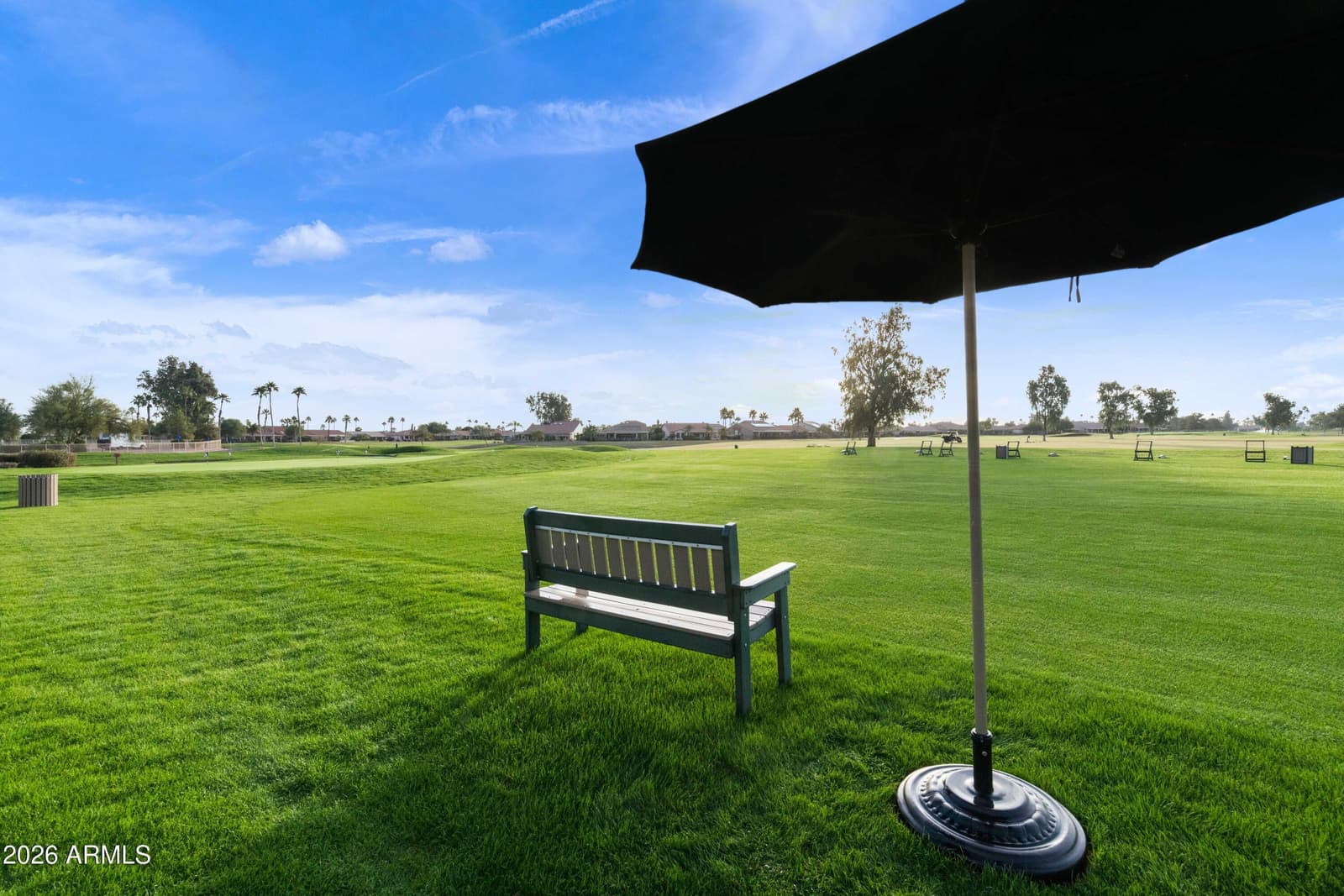 24737 S Golfview Drive 46, Sun Lakes, AZ 85248 — photo 45 of 52
