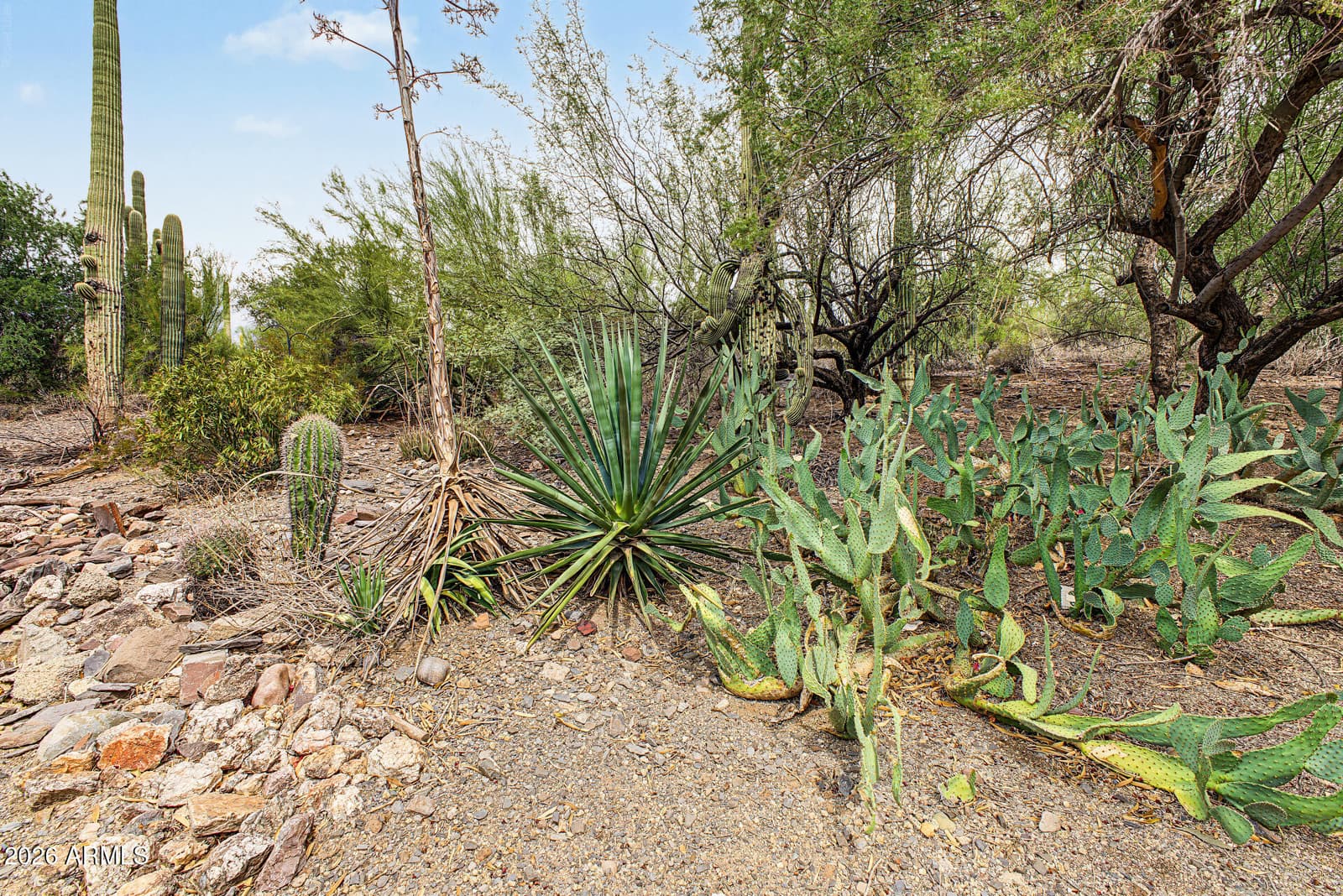 6454 E Paso Nuevo Drive 104, Cave Creek, AZ 85331 — photo 13 of 17