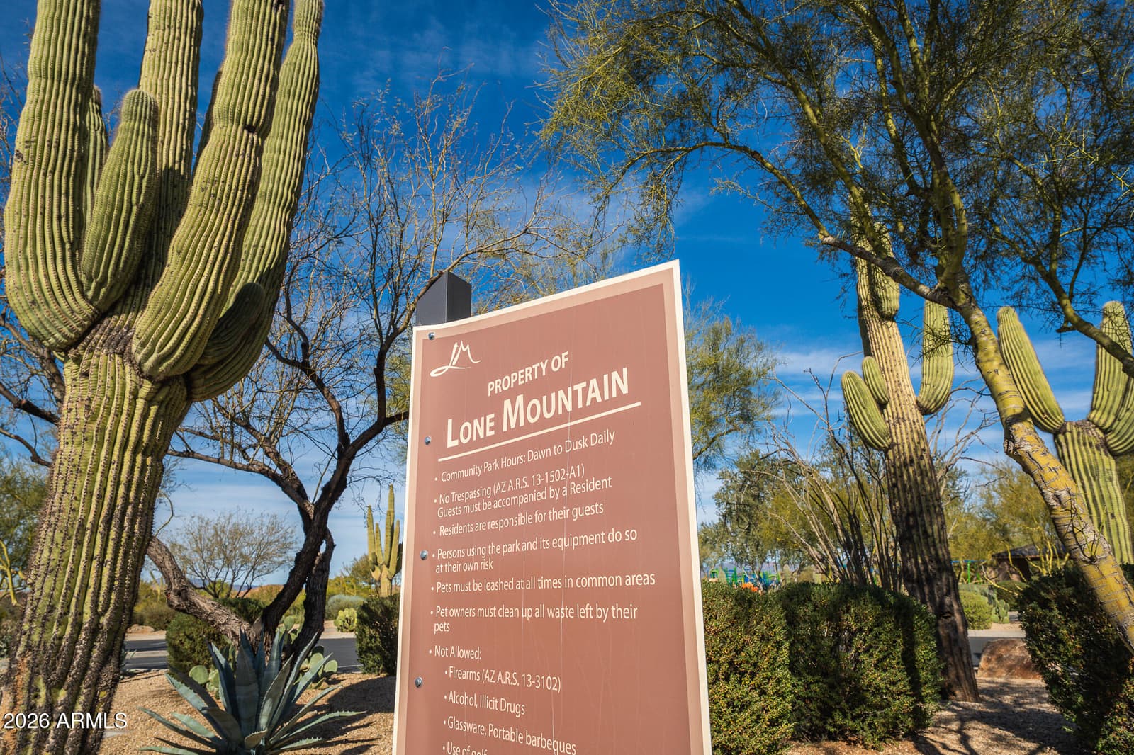 32034 N 62nd Place, Cave Creek, AZ 85331 — photo 93 of 100