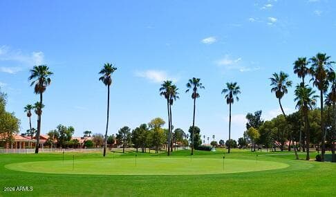 25222 S Buttonwood Drive, Sun Lakes, AZ 85248 — photo 50 of 54
