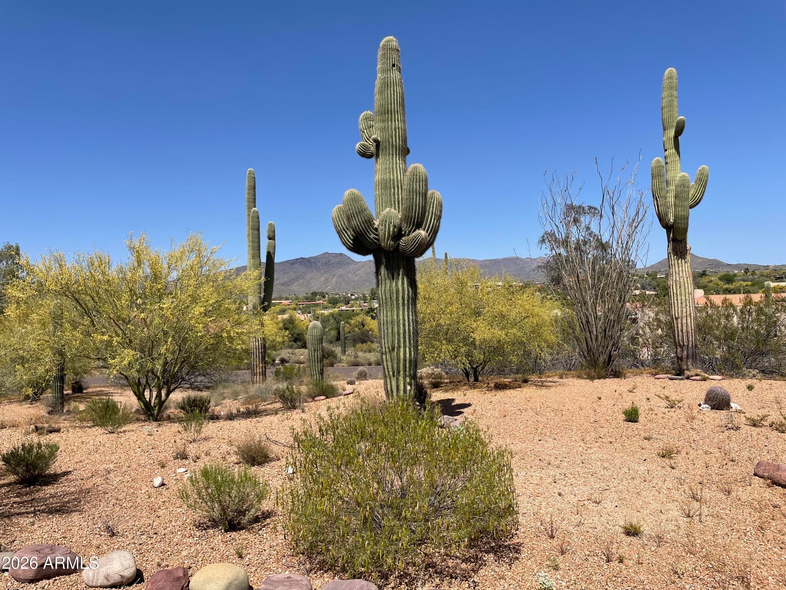 36632 N Never Mind Trail, Carefree, AZ 85377 — photo 13 of 15