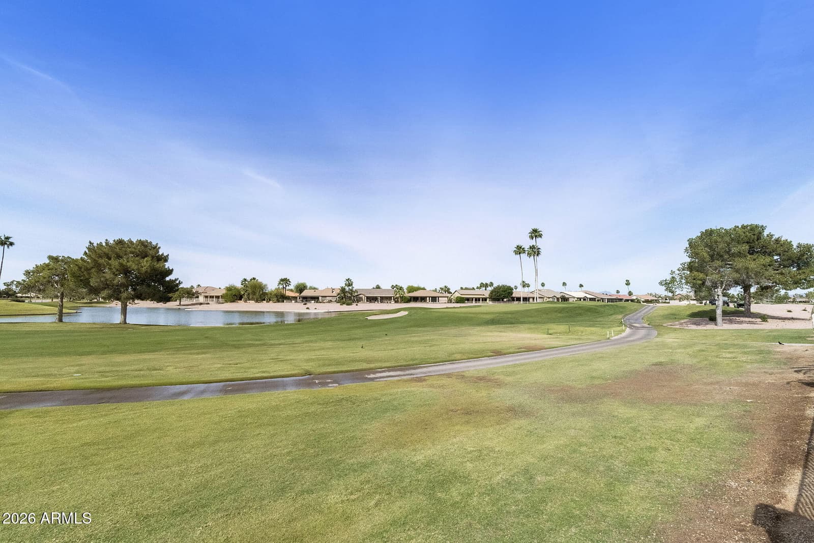 9505 E Sunridge Drive, Sun Lakes, AZ 85248 — photo 72 of 98