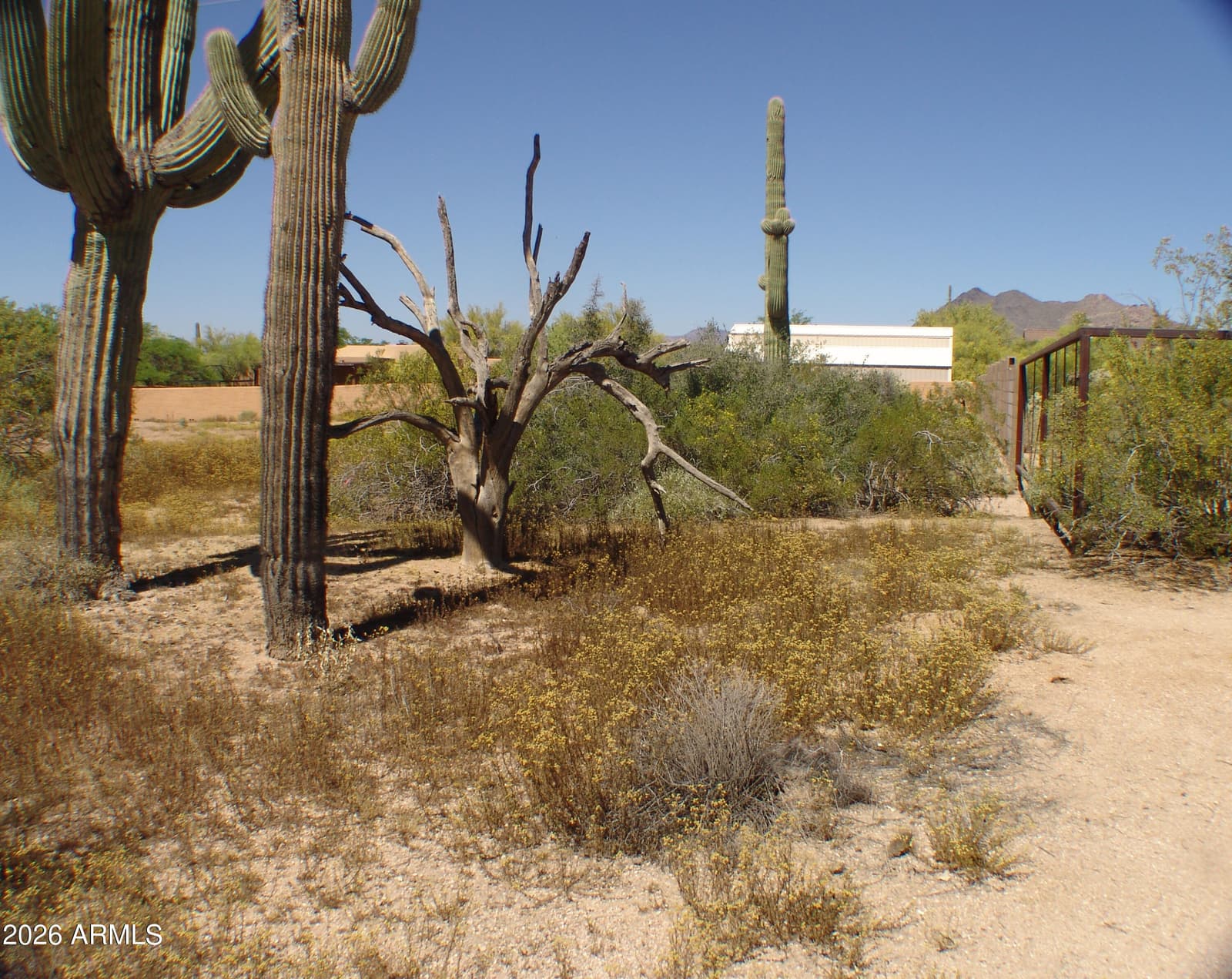 31607 N 64th Street, Cave Creek, AZ 85331 — photo 11 of 17