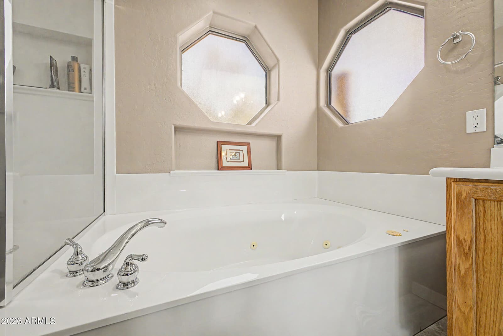 931 E Echo Circle, Apache Junction, AZ 85119 — photo 27 of 86