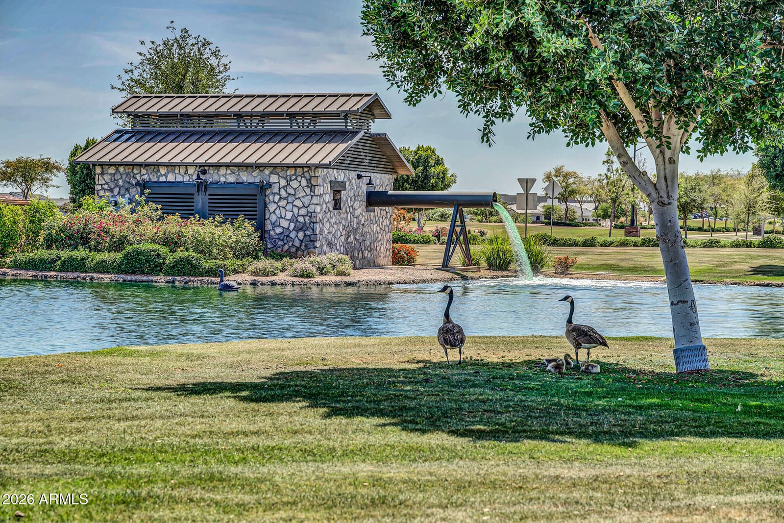 11873 N San Clemente Street, Surprise, AZ 85388 — photo 47 of 55