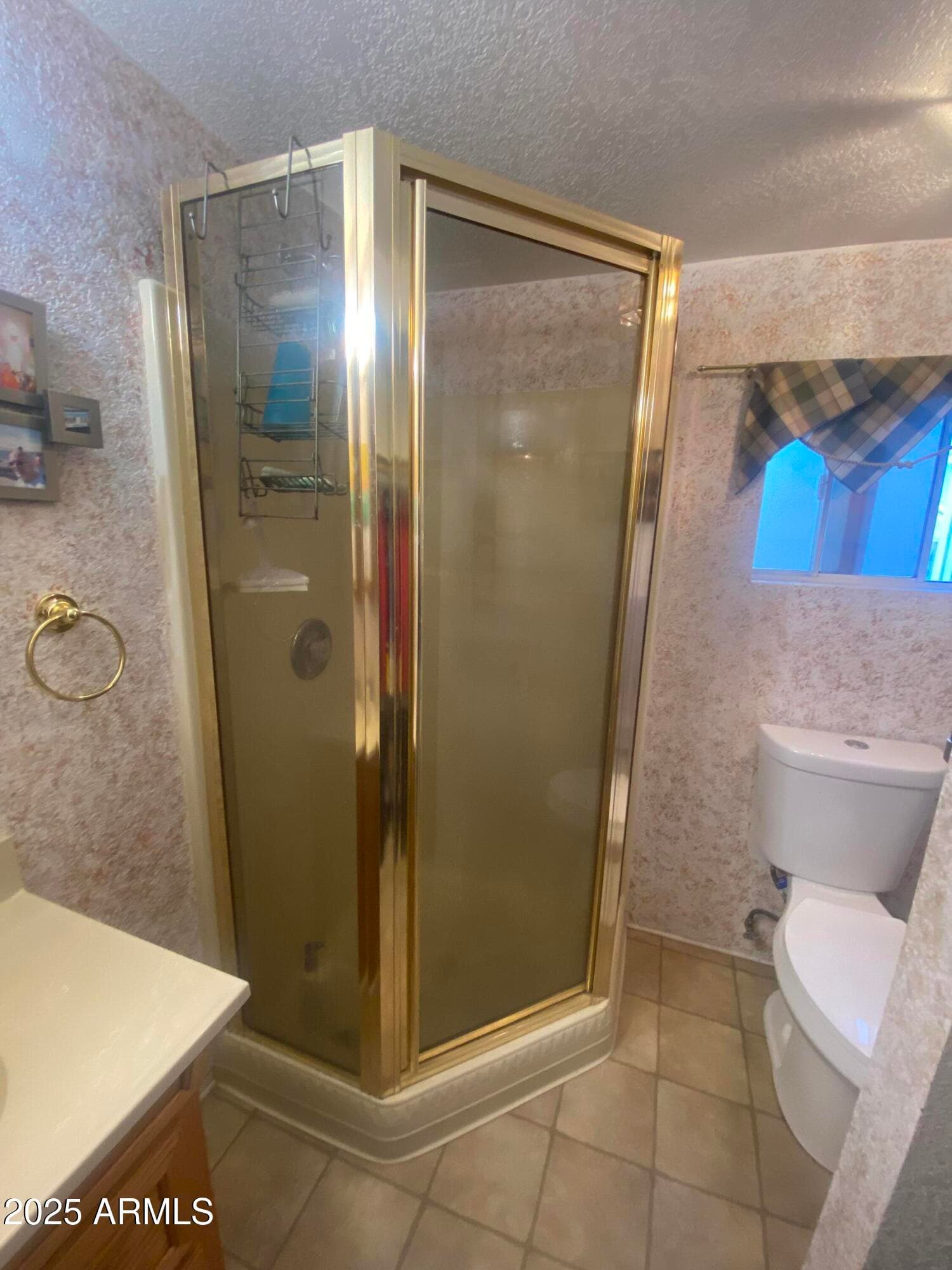 2024 S Walla Walla Circle, Apache Junction, AZ 85119 — photo 17 of 43