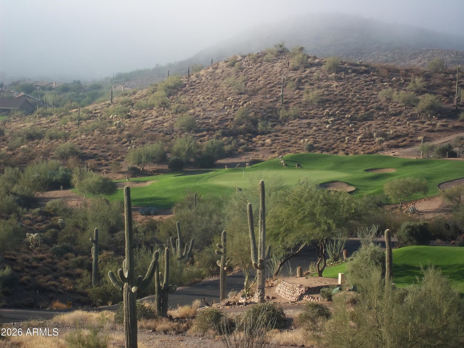 6608 E Casa De Risco Lane, Gold Canyon, AZ 85118 — photo 24 of 30