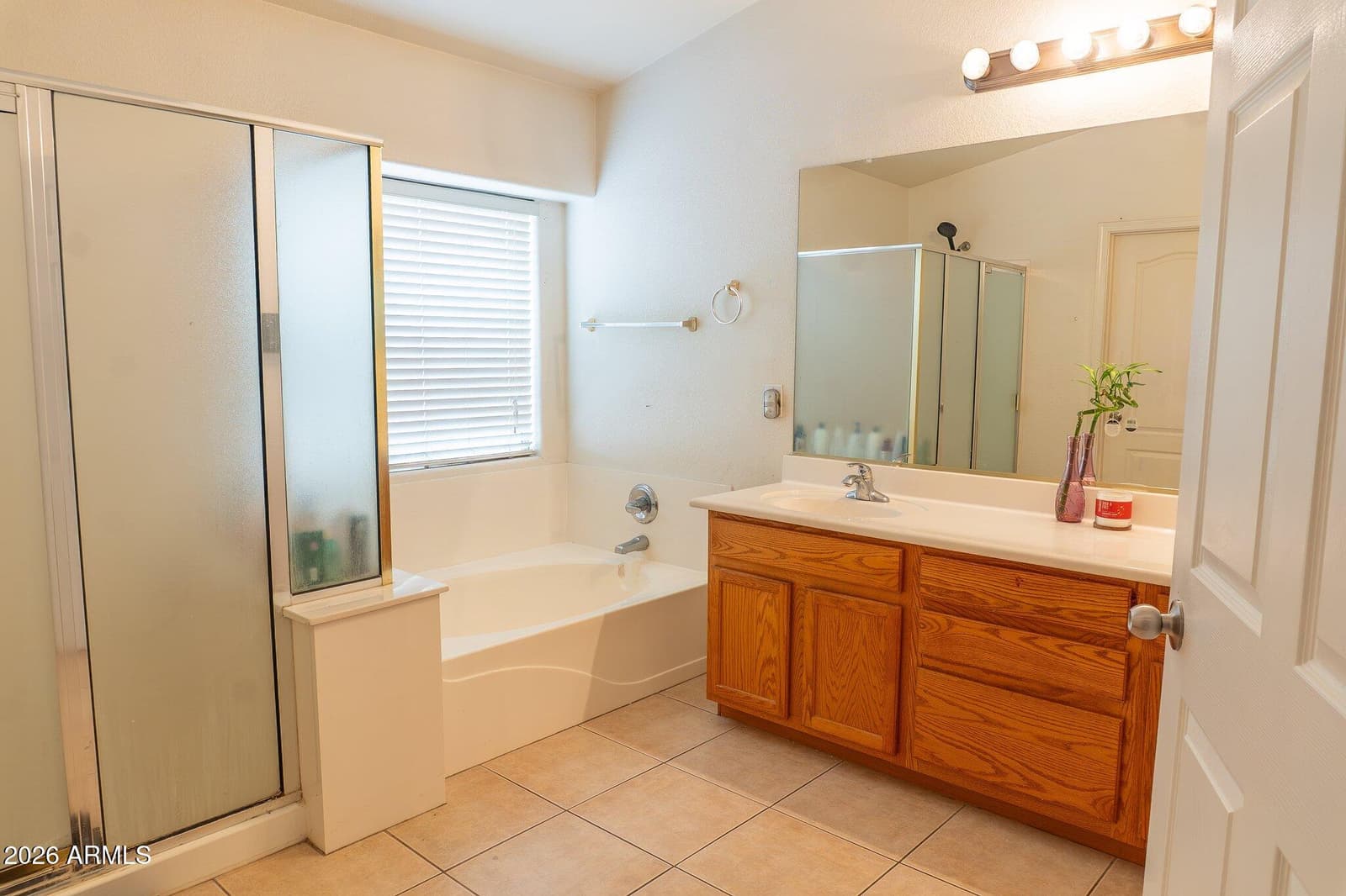5402 N Rattler Way, Litchfield Park, AZ 85340 — photo 7 of 8