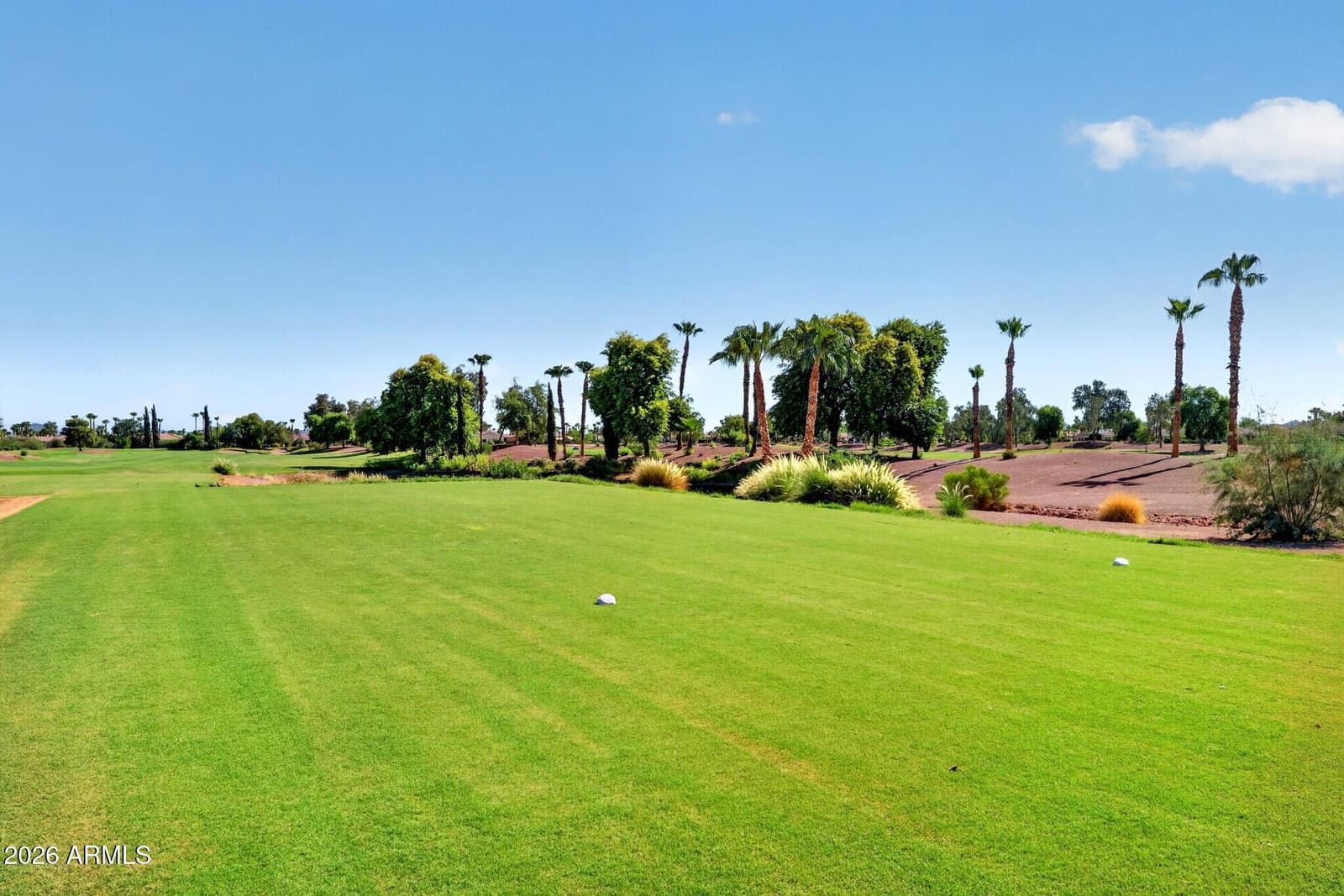 13228 W Santa Ynez Drive, Sun City West, AZ 85375 — photo 83 of 112