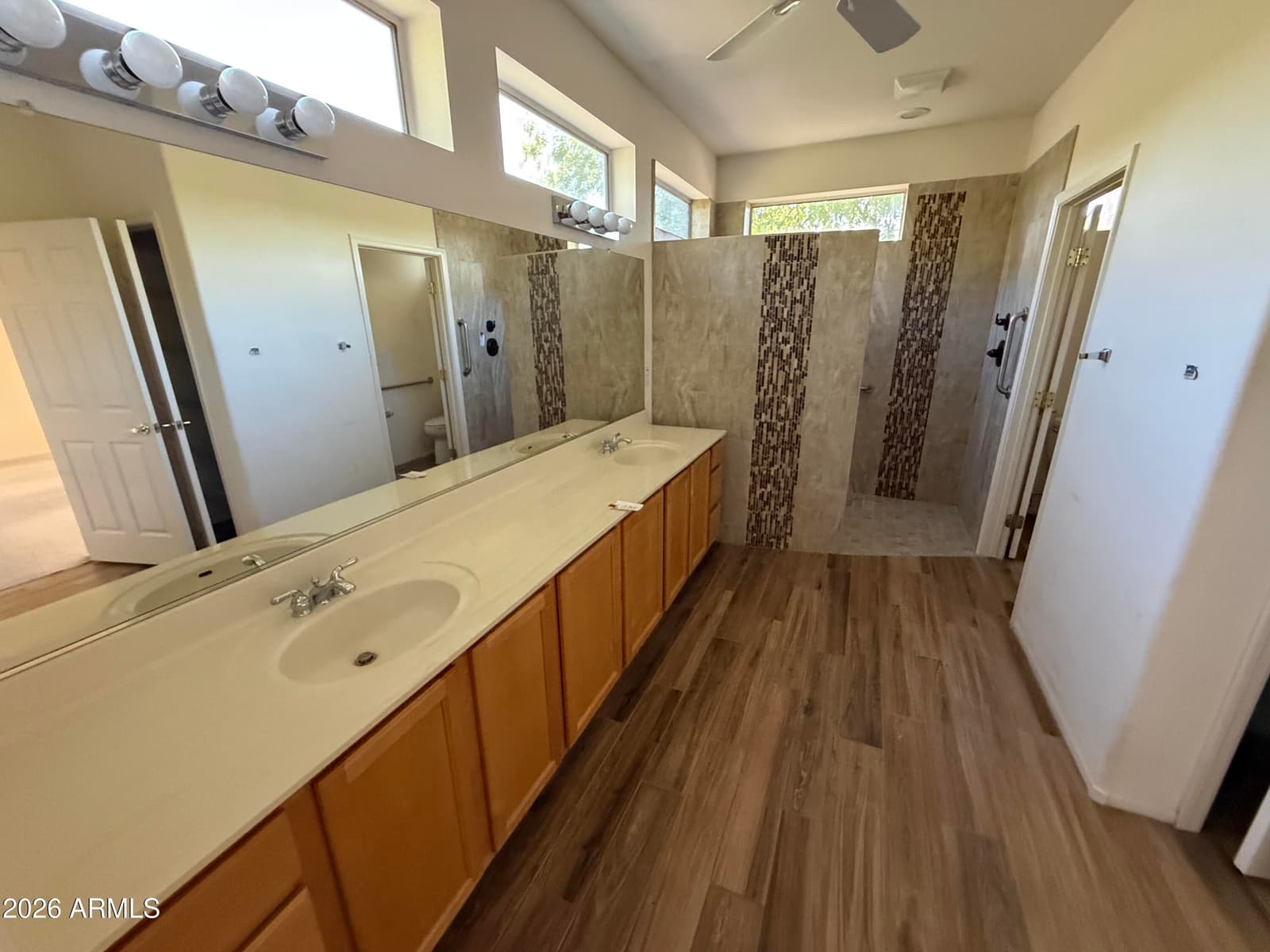 20123 N Painted Sky Drive, Surprise, AZ 85374 — photo 13 of 21