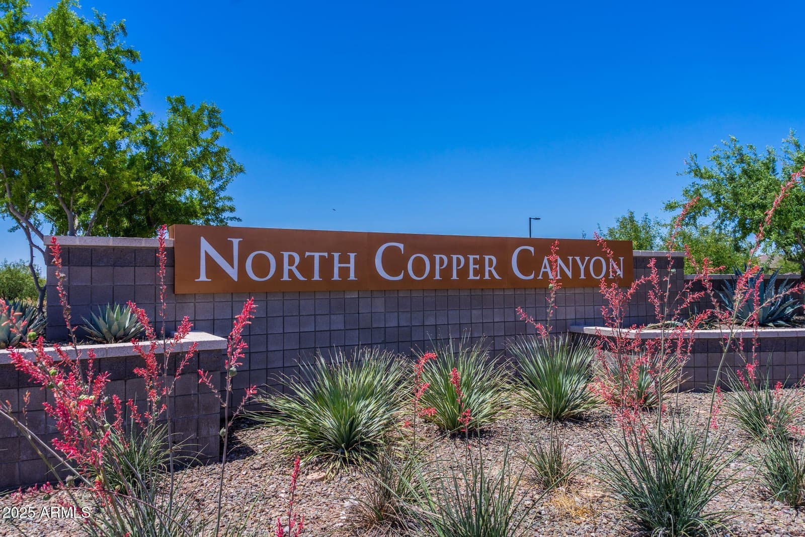 17372 W Villa Hermosa Lane, Surprise, AZ 85387 — photo 43 of 47