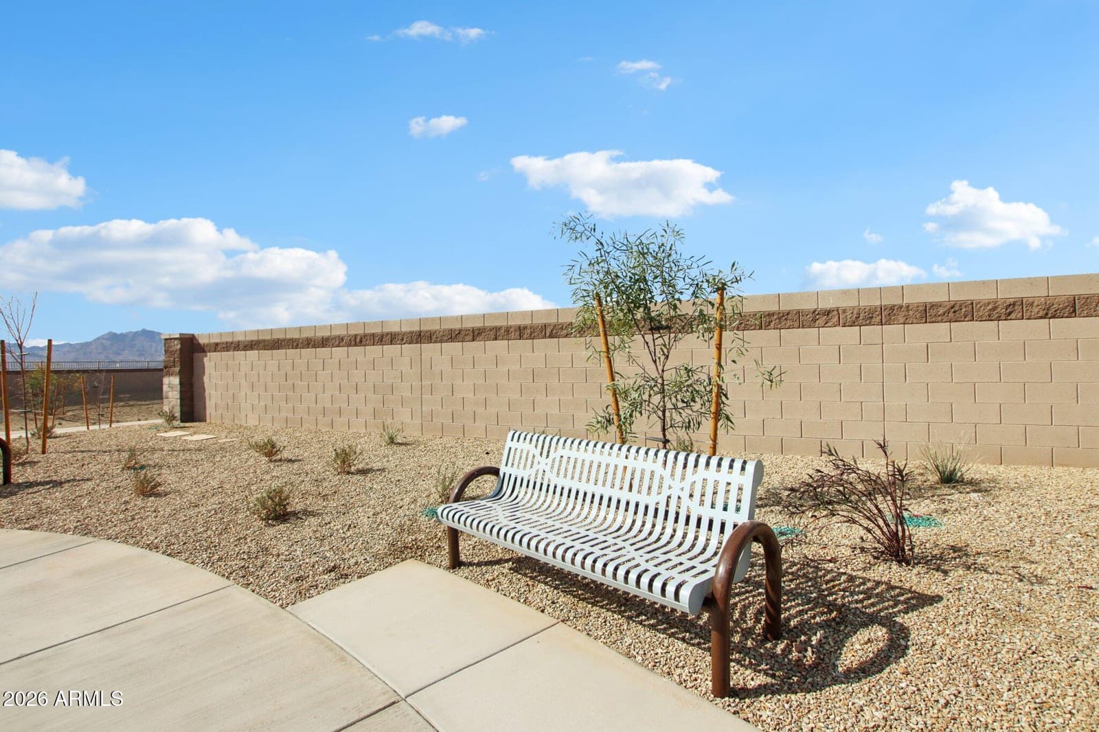 9648 W Tamarisk Avenue, Tolleson, AZ 85353 — photo 17 of 18