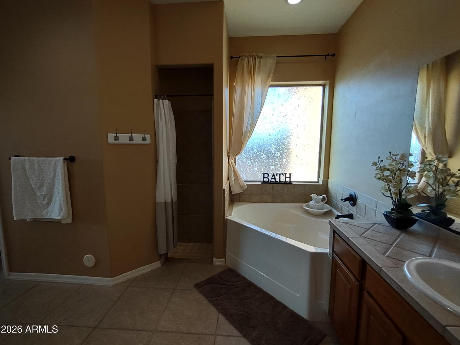 27710 N 237th Lane, Wittmann, AZ 85361 — photo 37 of 110