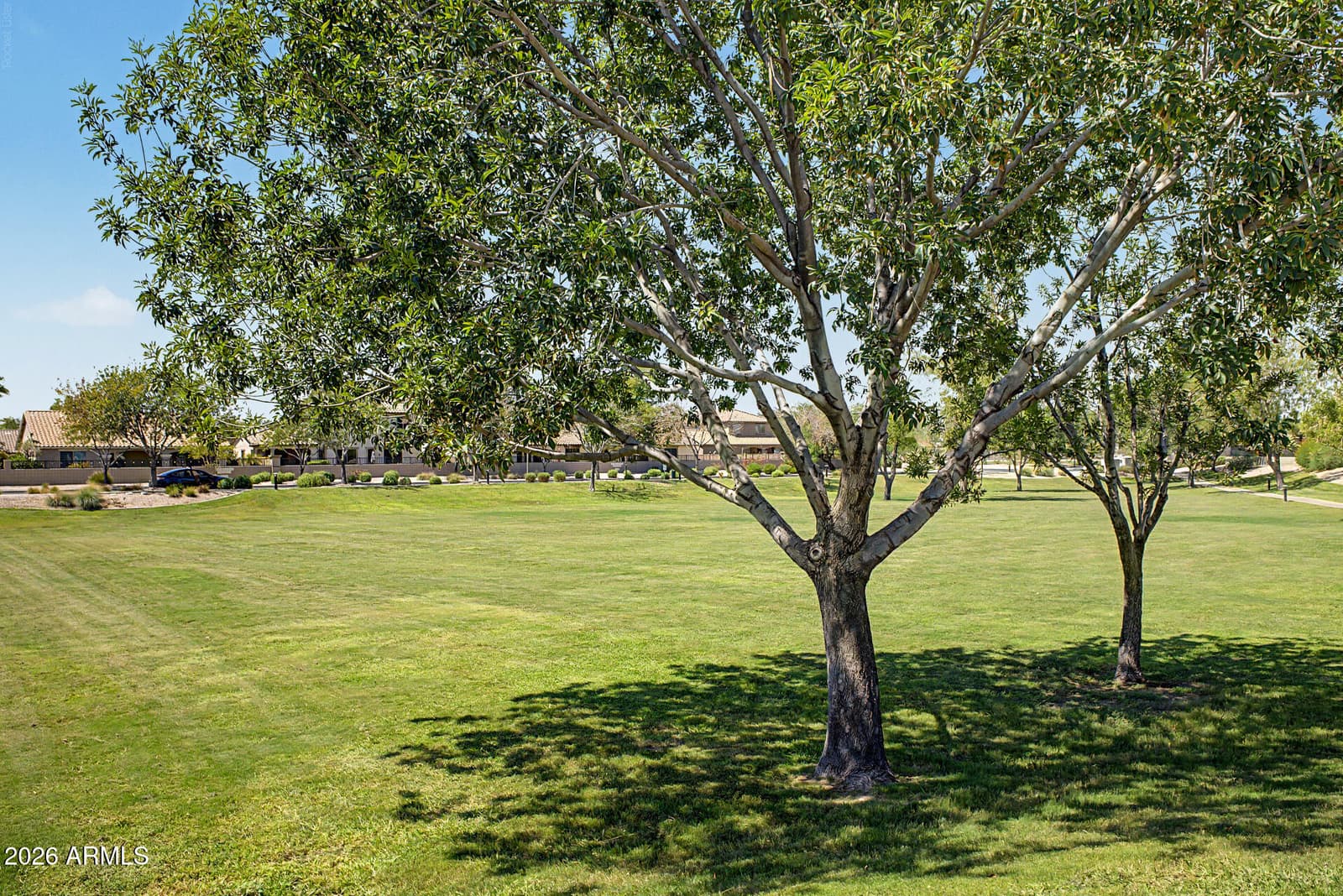 20949 S 214th Place, Queen Creek, AZ 85142 — photo 39 of 50