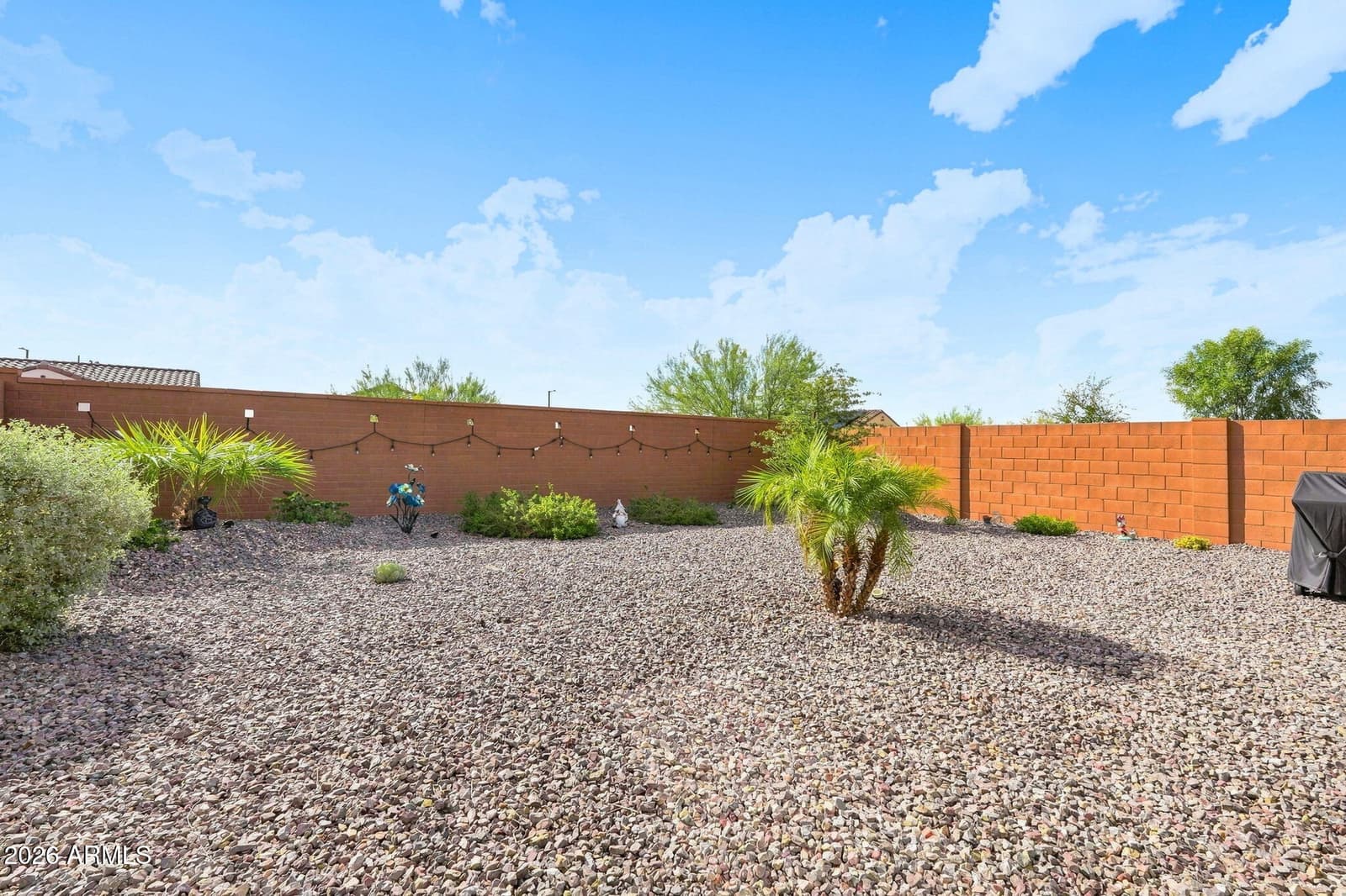 21286 N 271st Drive, Buckeye, AZ 85396 — photo 23 of 111