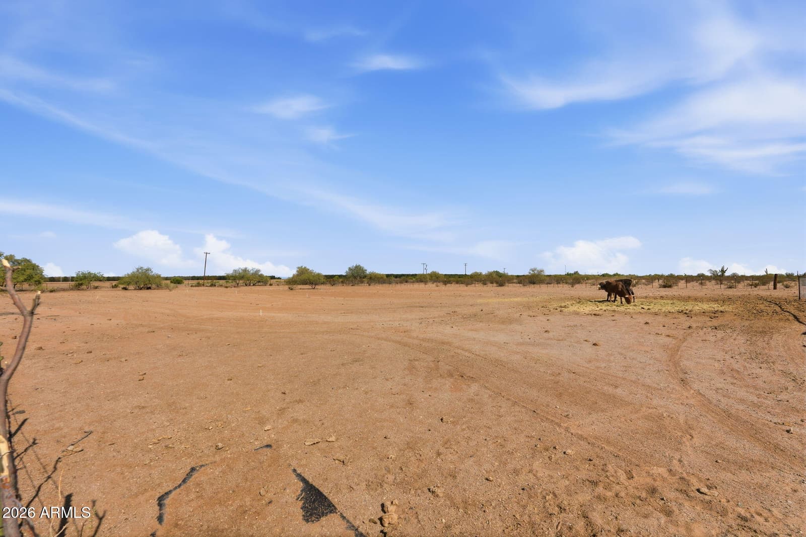 20635 S Picacho Highway, Eloy, AZ 85131 — photo 47 of 58