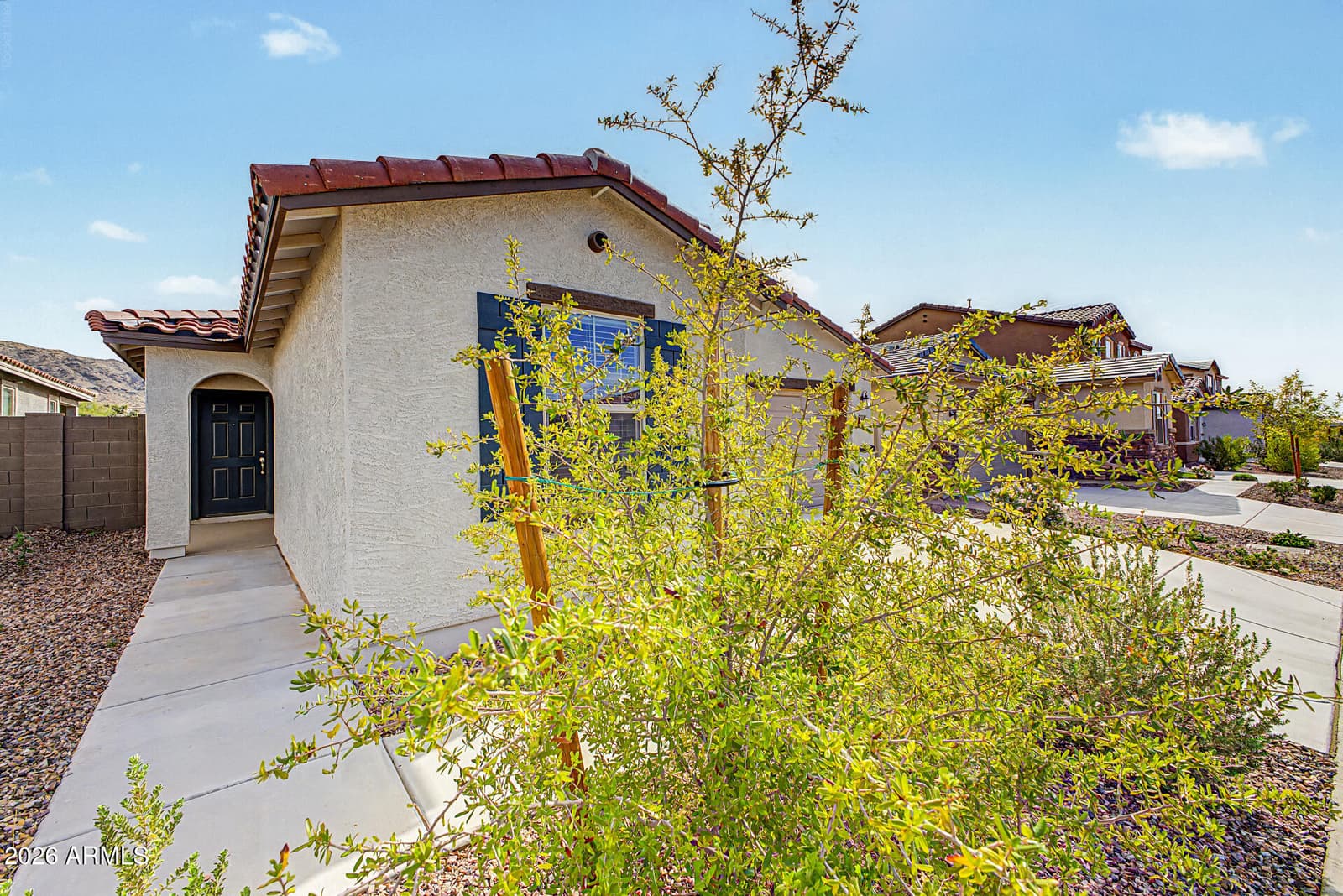 2821 W La Mirada Drive, Laveen, AZ 85339 — photo 5 of 36