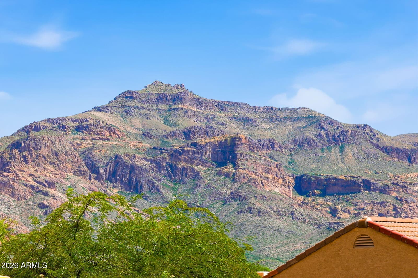 9960 E Fools Gold Place, Gold Canyon, AZ 85118 — photo 11 of 28