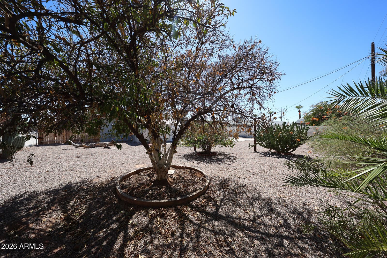 5410 E University Drive, Mesa, AZ 85205 — photo 42 of 46