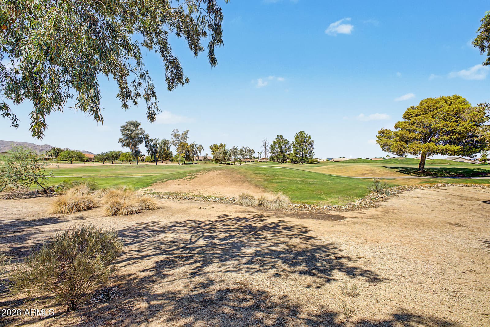 17418 N Fairway Drive, Surprise, AZ 85374 — photo 5 of 28
