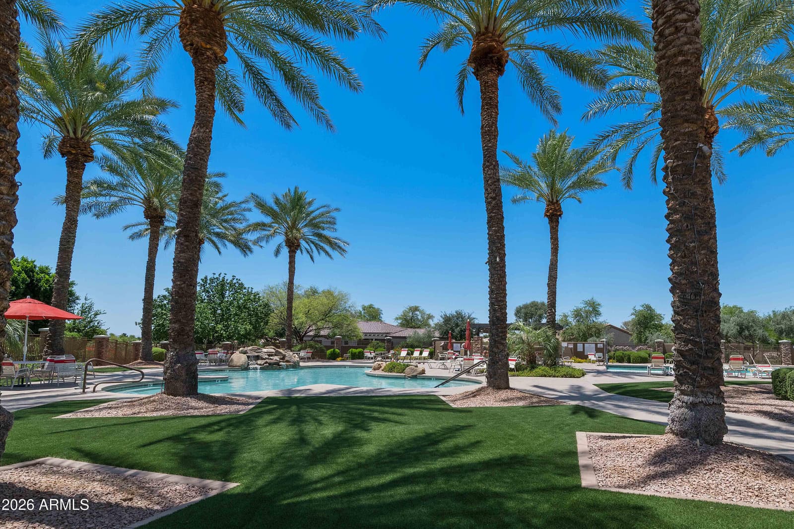 4906 S Verbena Avenue, Gilbert, AZ 85298 — photo 53 of 56