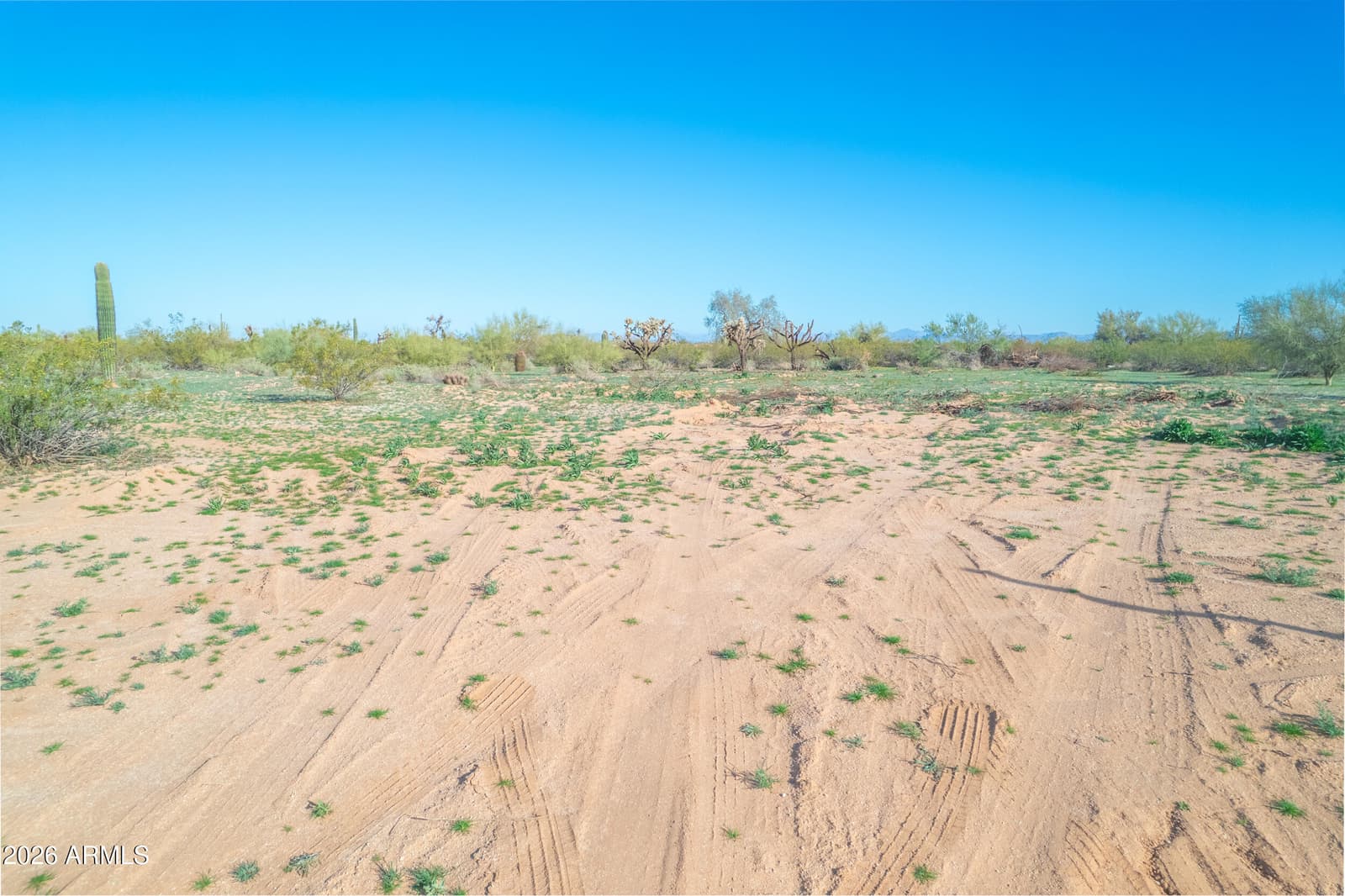 1850 E Cactus Forest Road, Florence, AZ 85132 — photo 13 of 14