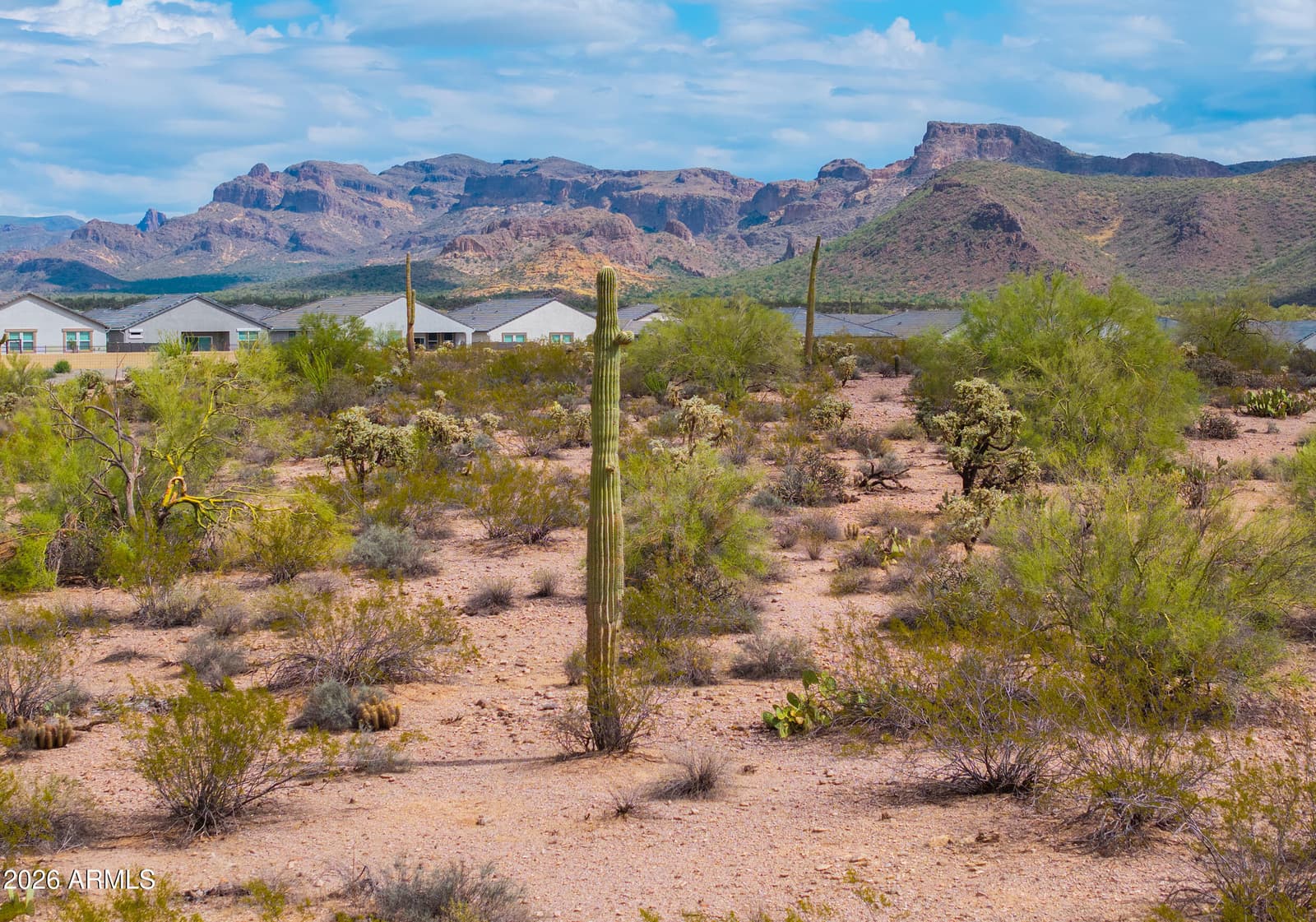 48171 N La Soledad, Gold Canyon, AZ 85118 — photo 63 of 73