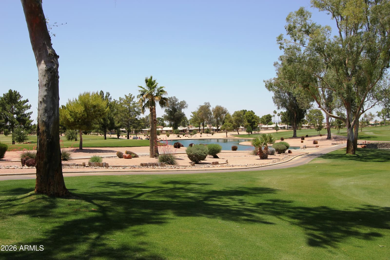 26253 S Dartford Drive, Sun Lakes, AZ 85248 — photo 26 of 33