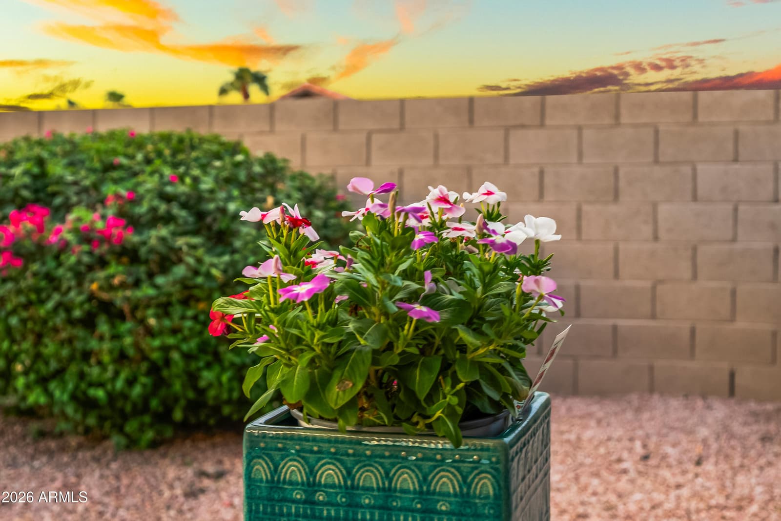 15410 W Earll Court, Goodyear, AZ 85395 — photo 5 of 49