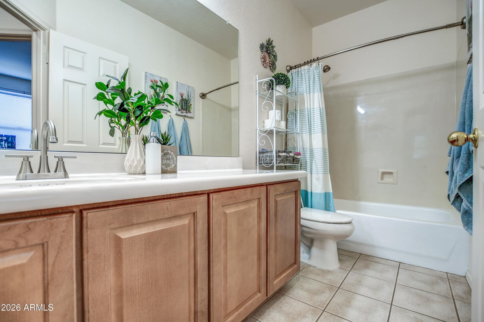 3117 W Via De Pedro Miguel, Phoenix, AZ 85086 — photo 29 of 49