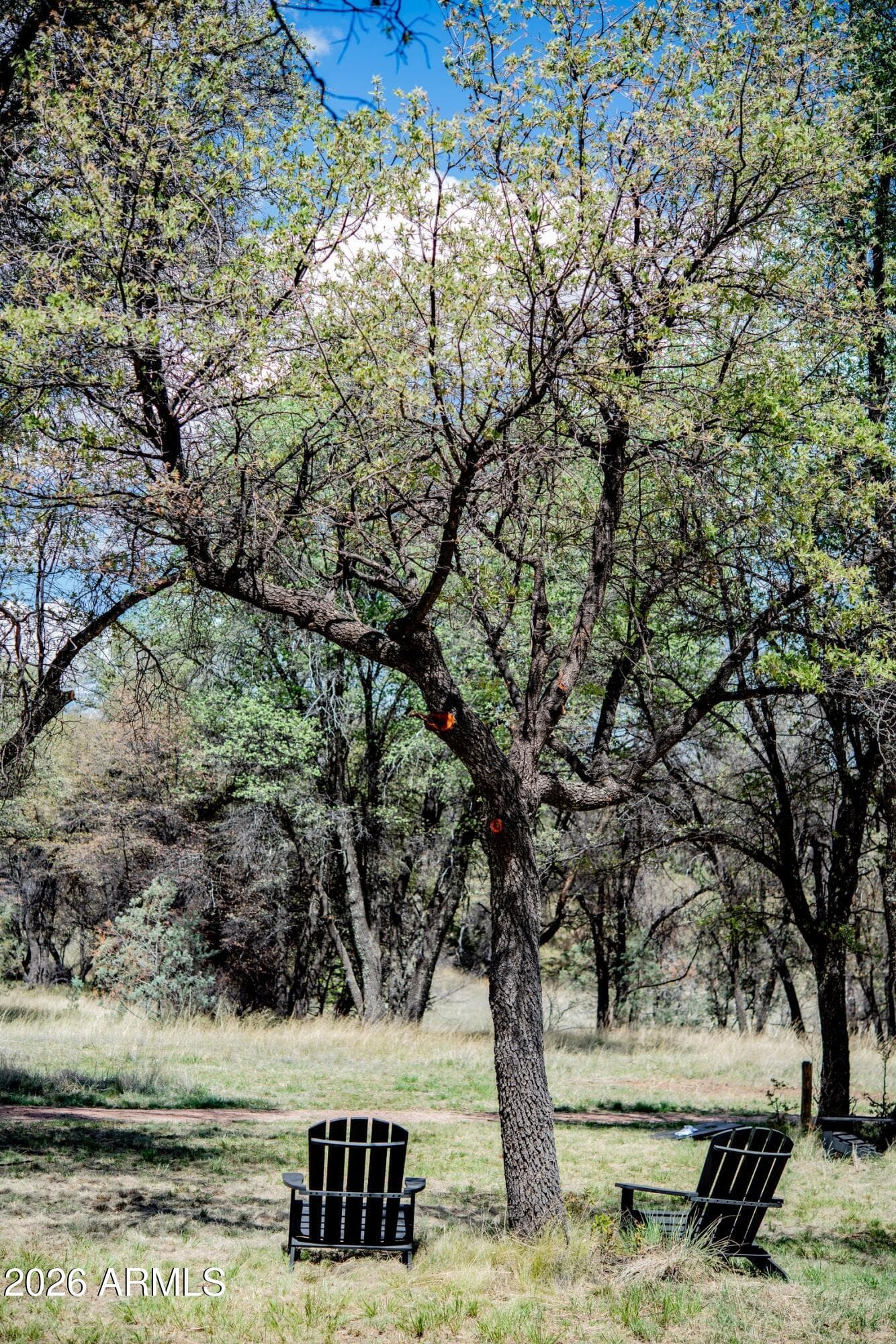 69 Abc Road, Patagonia, AZ 85624 — photo 94 of 102